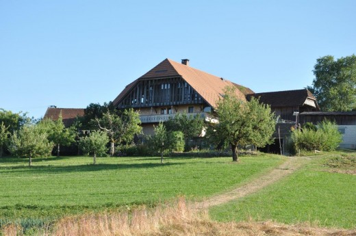 Der Biohof Obereichi